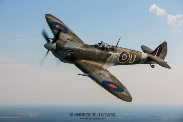 spitfire_te184_zf-u.jpg