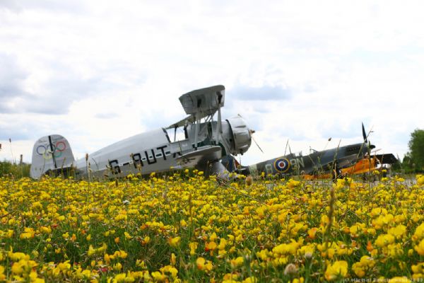 Způsob tohoto léta zdá se nám šťastným...