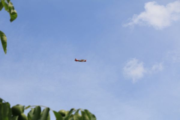 Rampír - Letectvo v obrazech